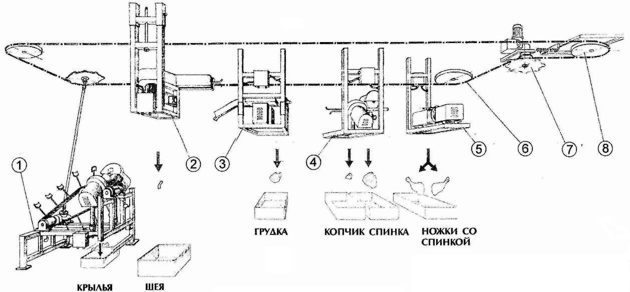 Убой птицы схема